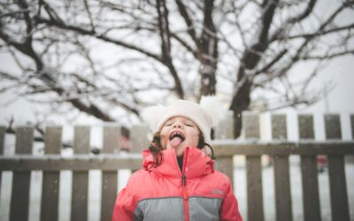 Antes de las 12 campanadas ¡celebramos nuestros 12 logros de 2025!